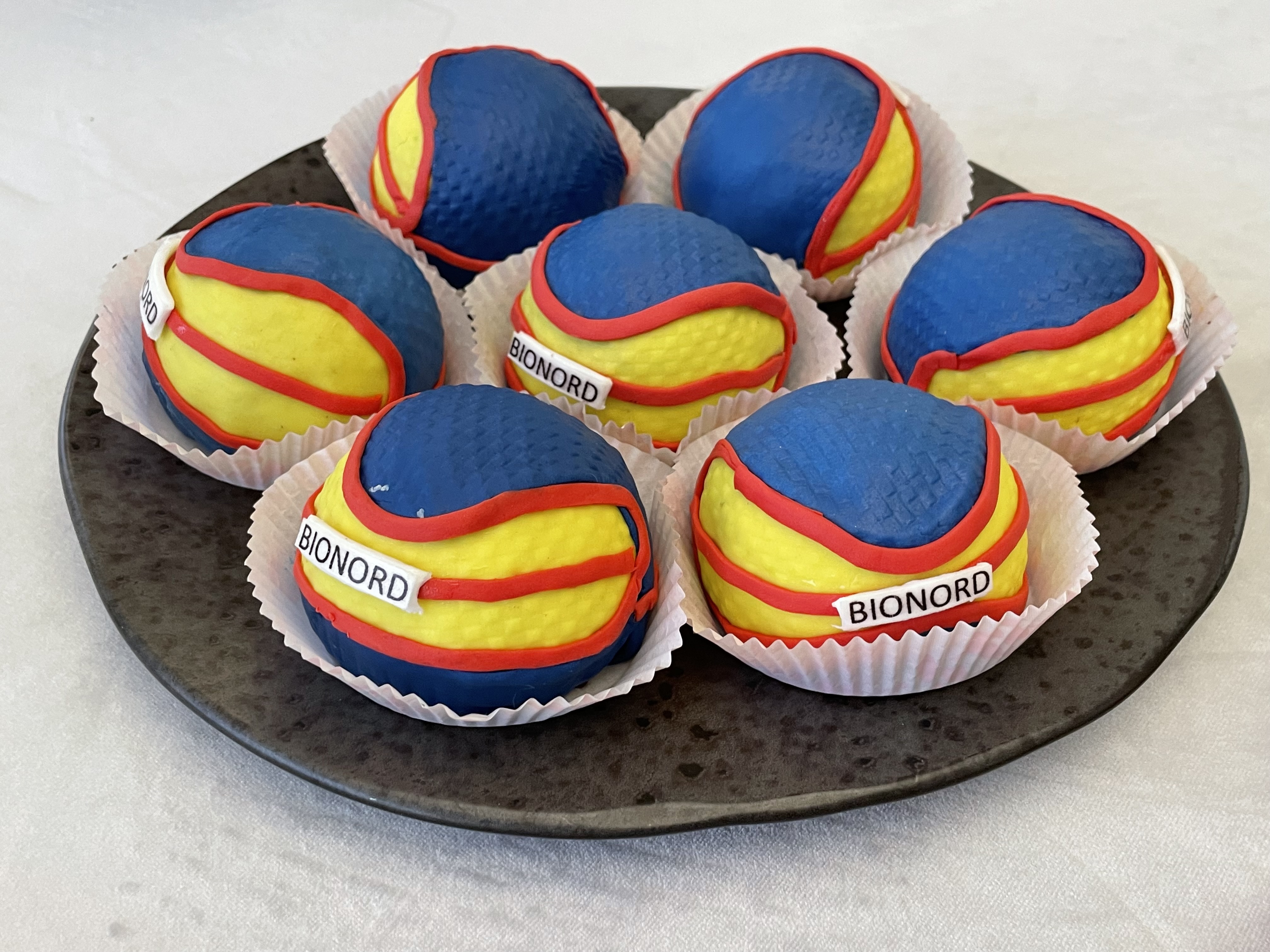 Генеральный директор УЗПМ Дмитрий Пылёв поздравил баскетбольные команды Bionord и Bionord Pro с успешным завершением сезона, рис. 4