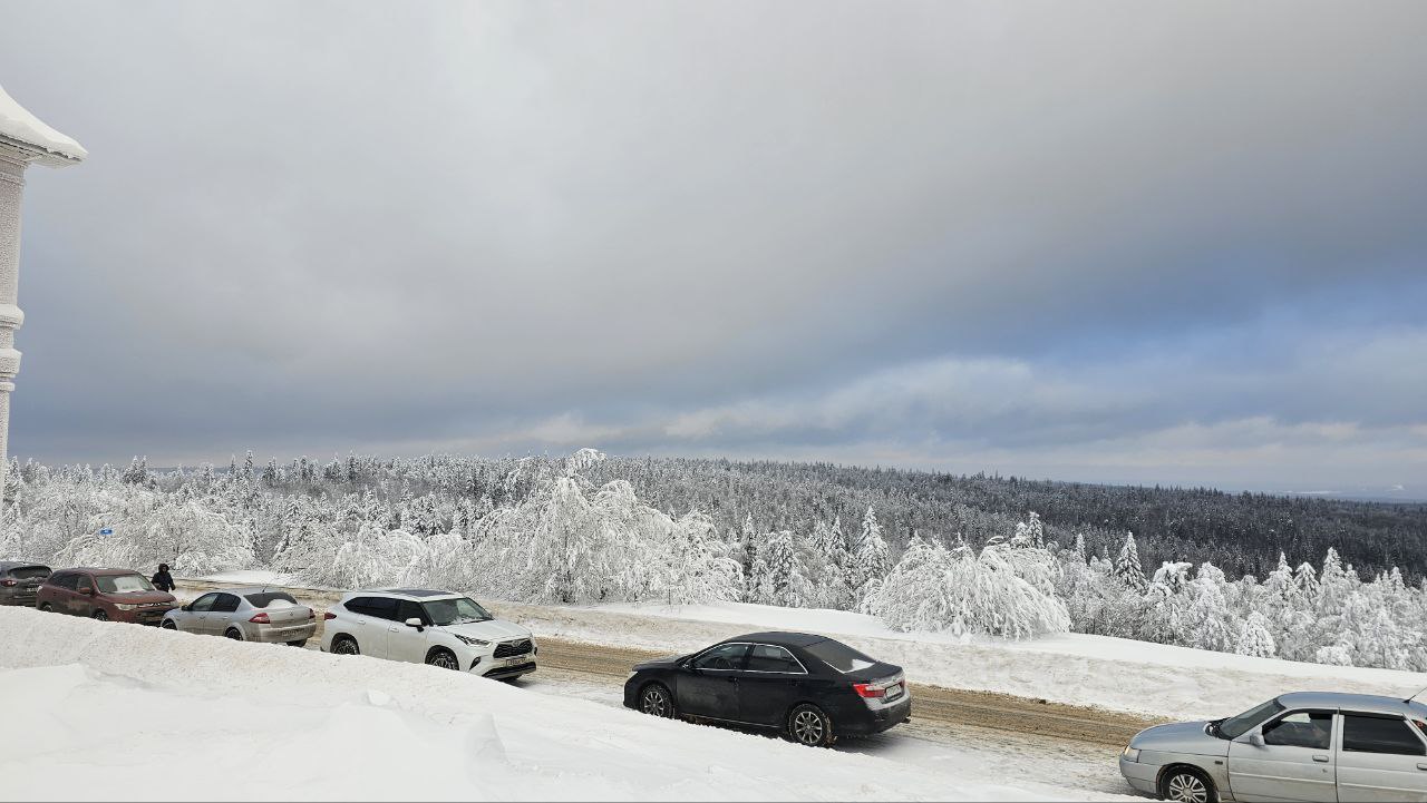 Сотрудники УЗПМ приняли участие в традиционных зимних купаниях